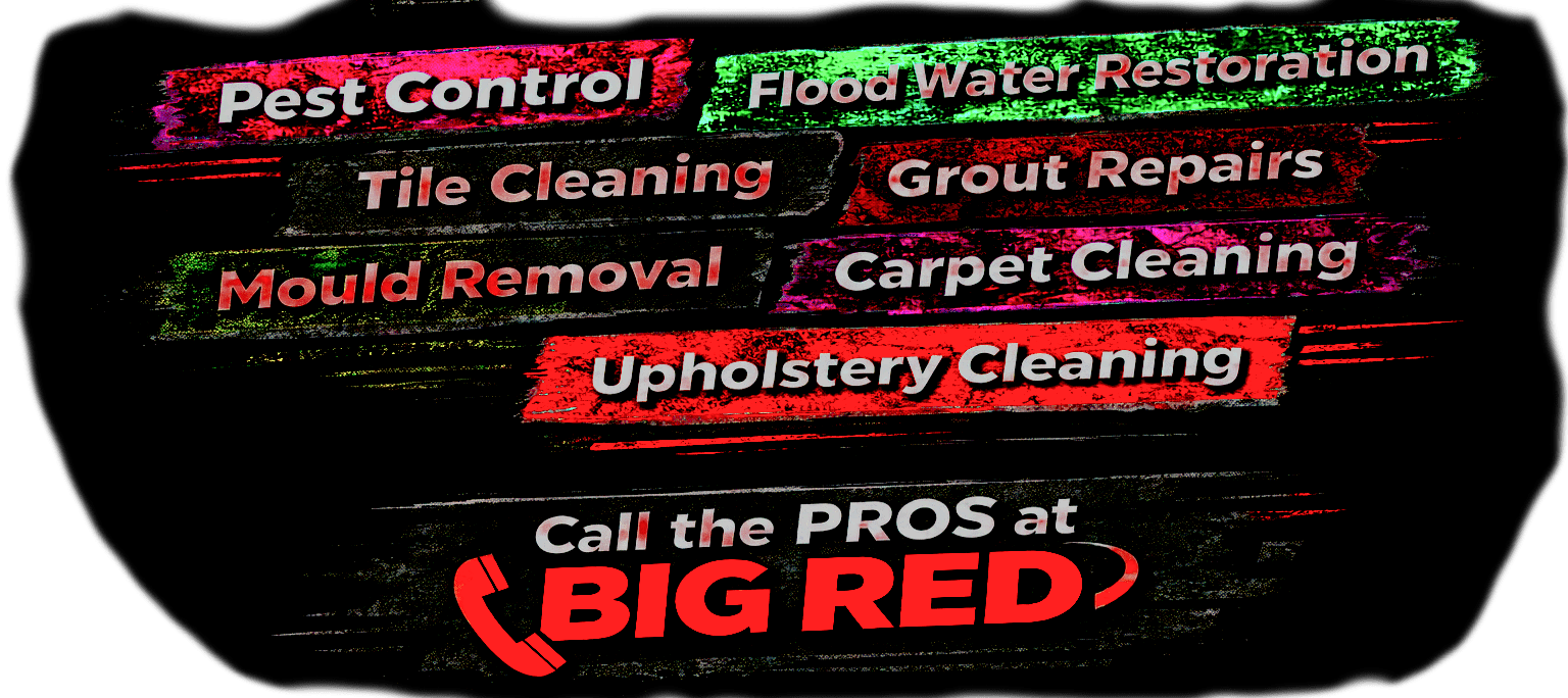 Big Red Gold Coast|header and footer