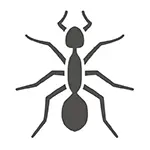 Pest Control Gold Coast