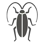 Pest Control Gold Coast