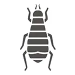 Pest Control Gold Coast