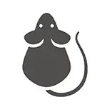 Pest Control Gold Coast