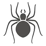 Pest Control Gold Coast