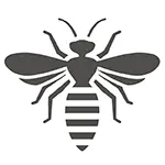 Pest Control Gold Coast