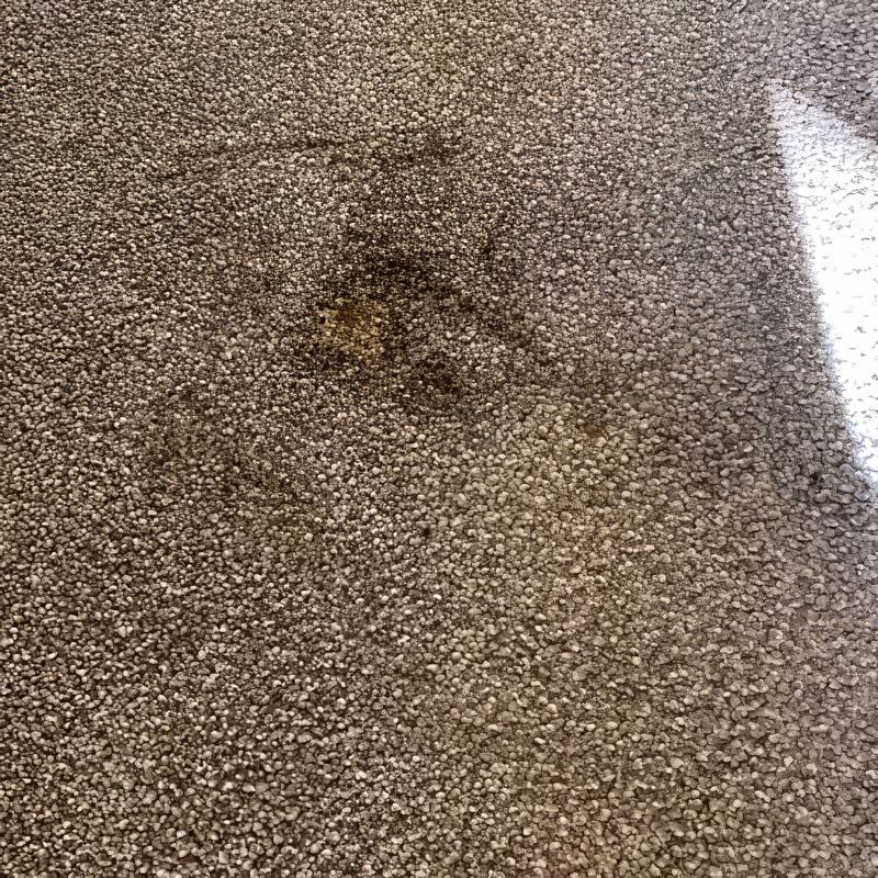 Big Red Gold Coast|Gallery