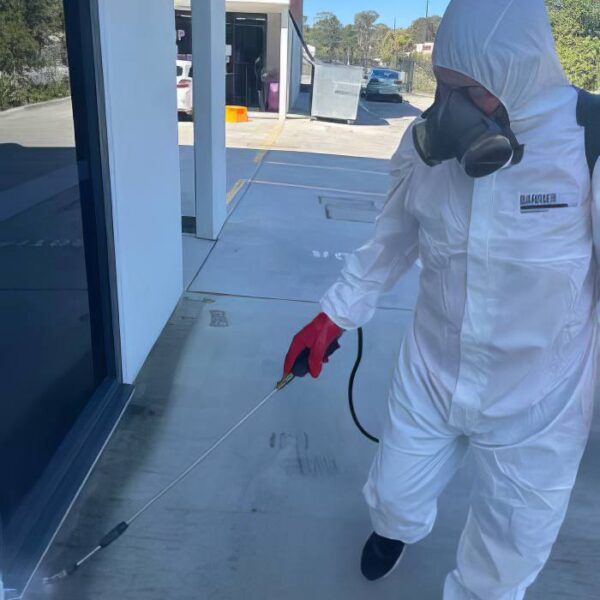 Pest control gold coast