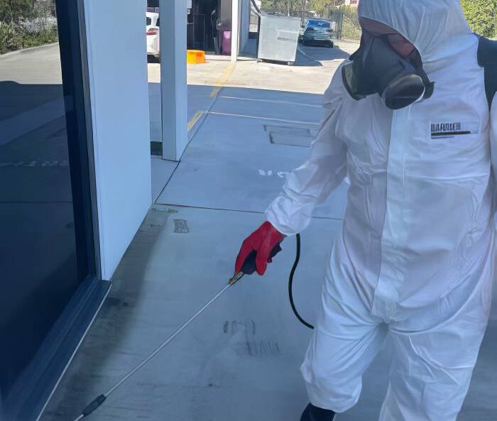 Pest control gold coast