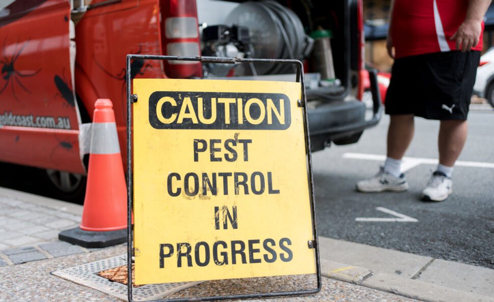 Big Red Gold Coast|Pest Management