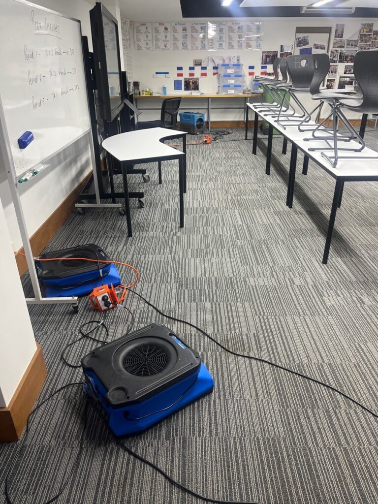 Big Red Gold Coast|Water Damage Restoration Gold Coast, Logan & Brisbane