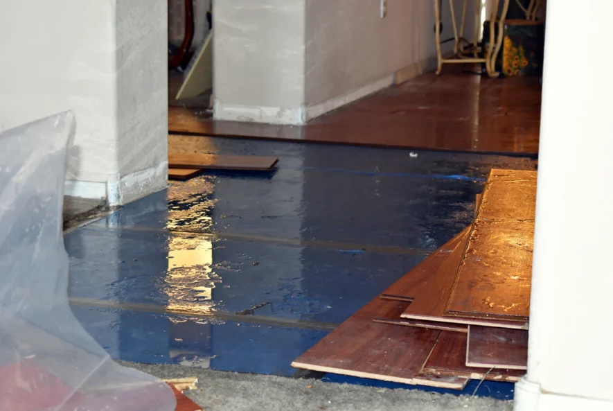 Big Red Gold Coast | Inspection to Repaint: Big Red Handles Gold Coast Water Damage End-to-End