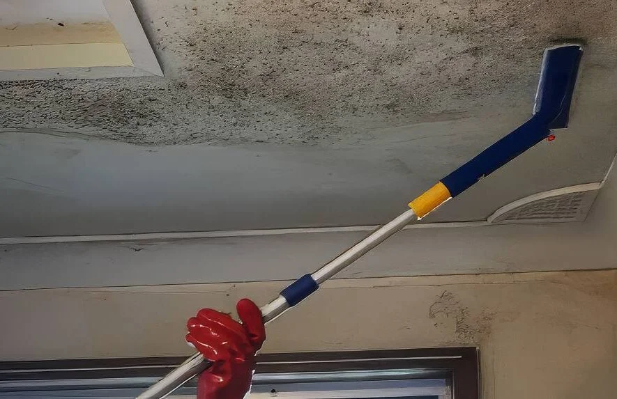 Removing black mould from ceiling