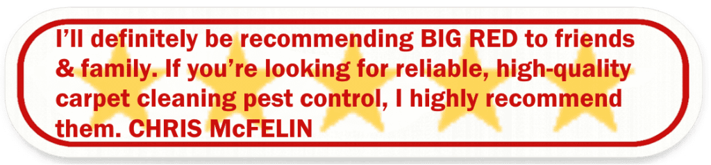 Big Red Gold Coast|Pest Control