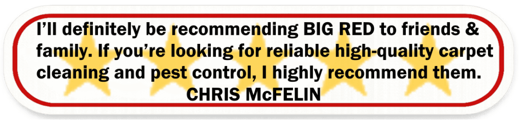 Big Red Gold Coast|Pest Control