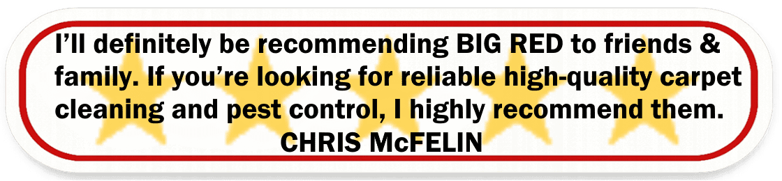 Big Red Gold Coast | Carpet Cleaning