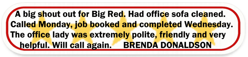 Big Red Gold Coast|Leather Cleaning