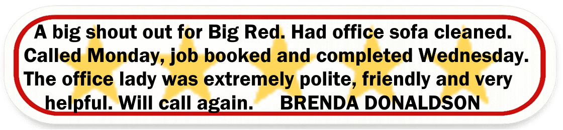 Big Red Gold Coast|Leather Cleaning