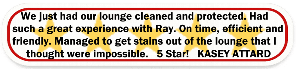 Big Red Gold Coast|Leather Cleaning