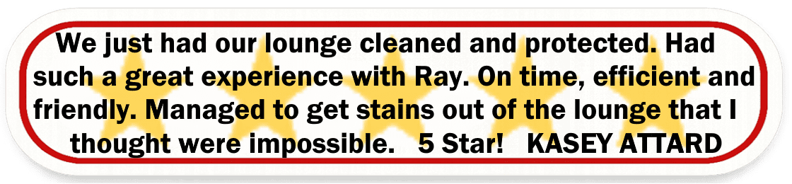 Big Red Gold Coast|Leather Cleaning