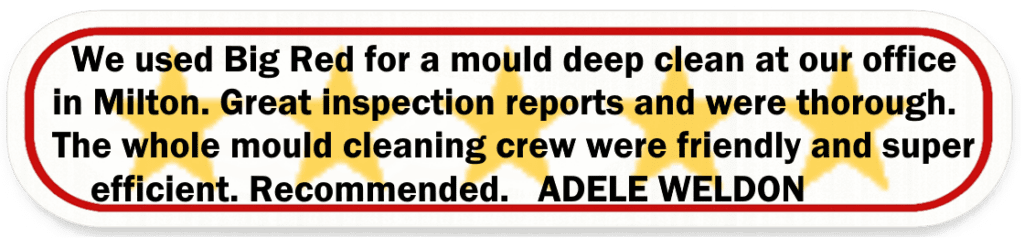 Big Red Gold Coast|Mould Removal