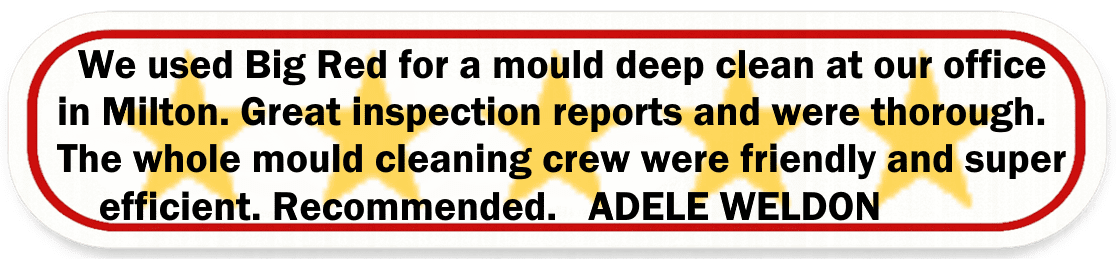 Big Red Gold Coast|Mould Removal