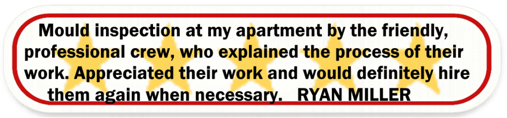 Big Red Gold Coast|Mould Removal