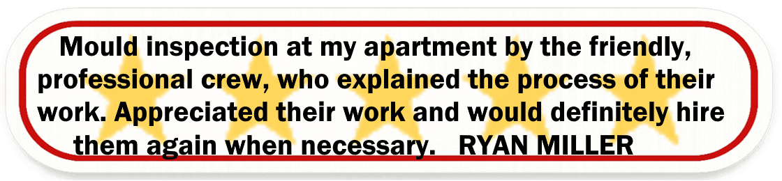 Big Red Gold Coast|Mould Removal