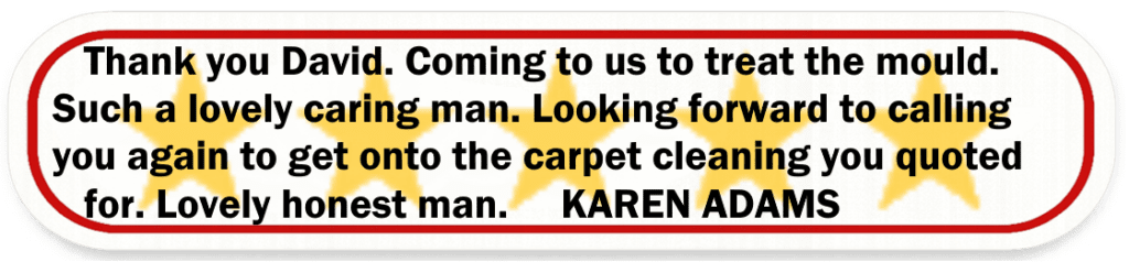 Big Red Gold Coast|Mould Removal