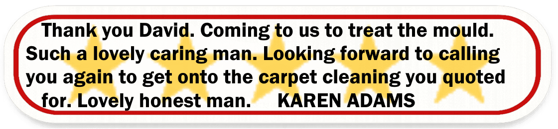 Big Red Gold Coast|Mould Removal