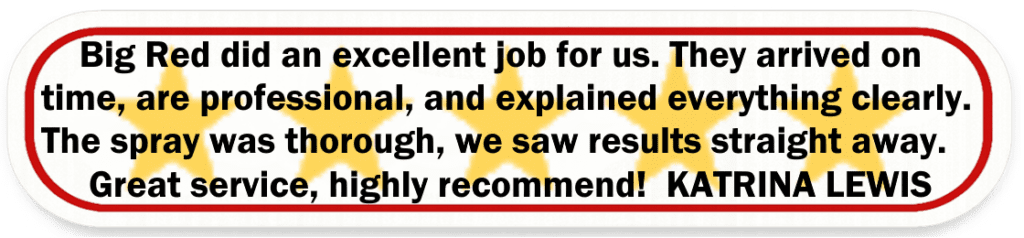 Big Red Gold Coast|Pest Control