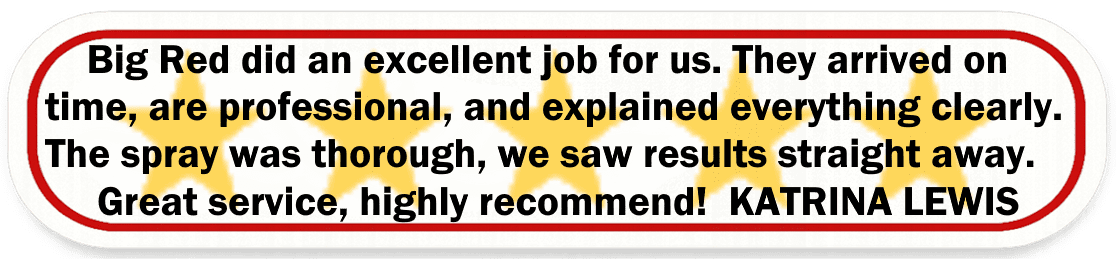 Big Red Gold Coast|Pest Control