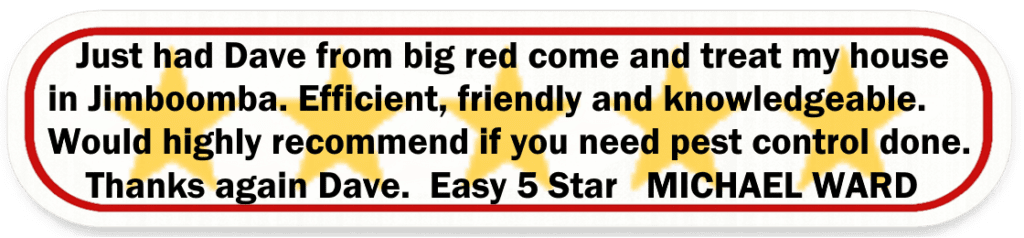 Big Red Gold Coast|Pest Control