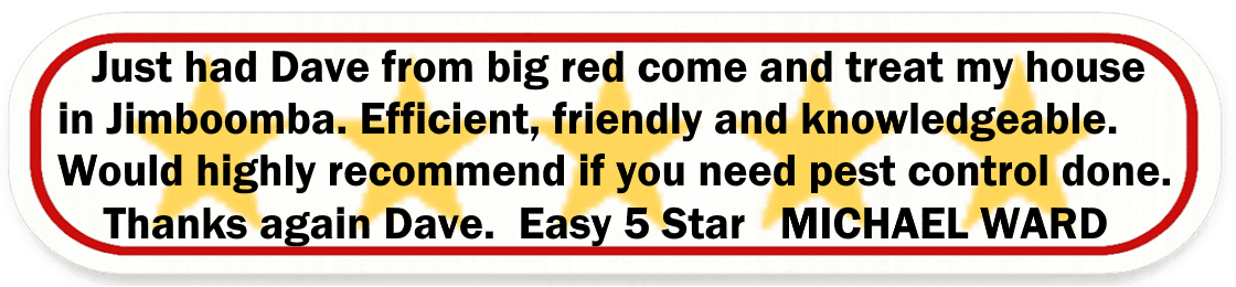 Big Red Gold Coast|Pest Control