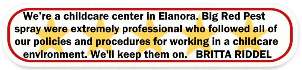 Big Red Gold Coast|Pest Control