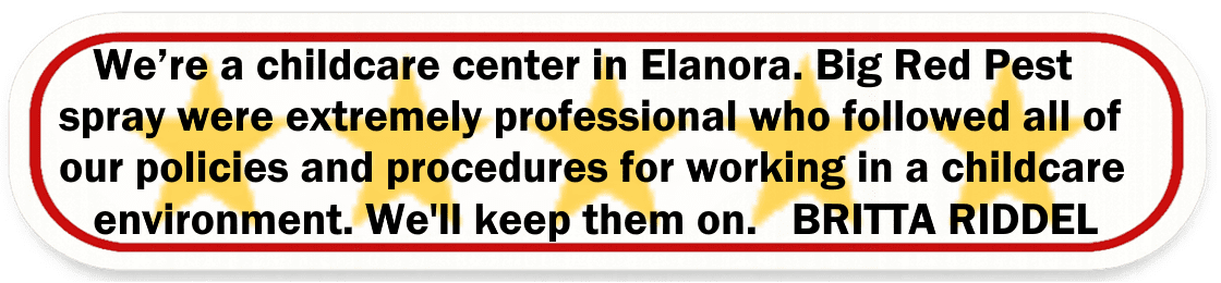 Big Red Gold Coast|Pest Control