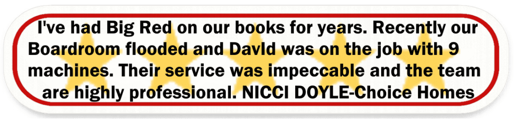 Big Red Gold Coast|Water Damage Restoration Gold Coast, Logan & Brisbane