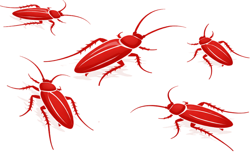 pest-cockroaches-820x500