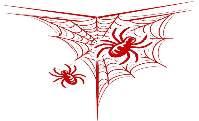 pest-spiders-820x500